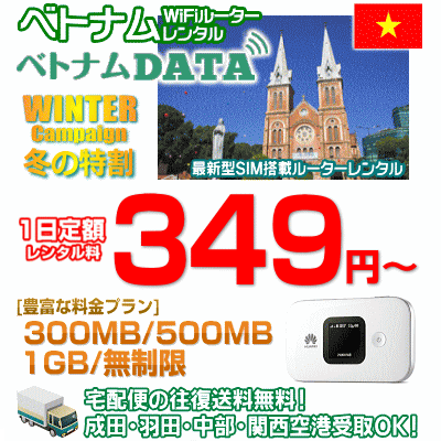 ベトナムデータの冬キャンペーン