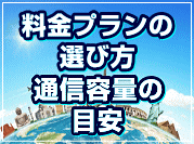 料金プランの選び方 通信容量の目安